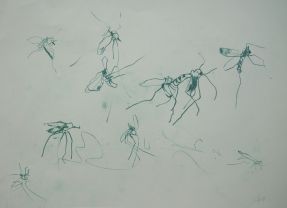 Mücken, , Zeichnung von Wendla Pahnke